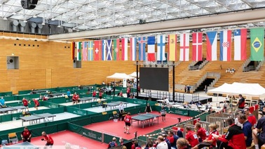 Ittf Parkinson's World Table Tennis Championships